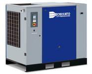 Винтовой компрессор Ceccato CSM 25D 10 400/50 CE